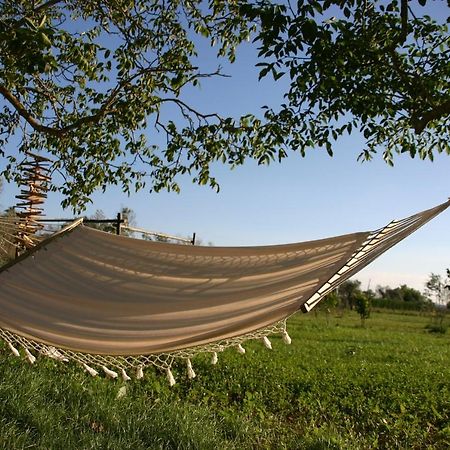 Bed and Breakfast I Fichi Bianchi Cutrofiano Exterior foto